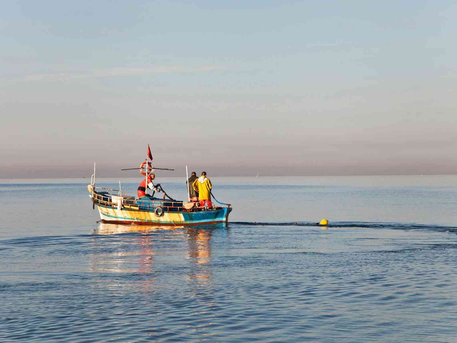 Immagine articolo: Sciacca, crisi della pesca: forniture calate dell'88%