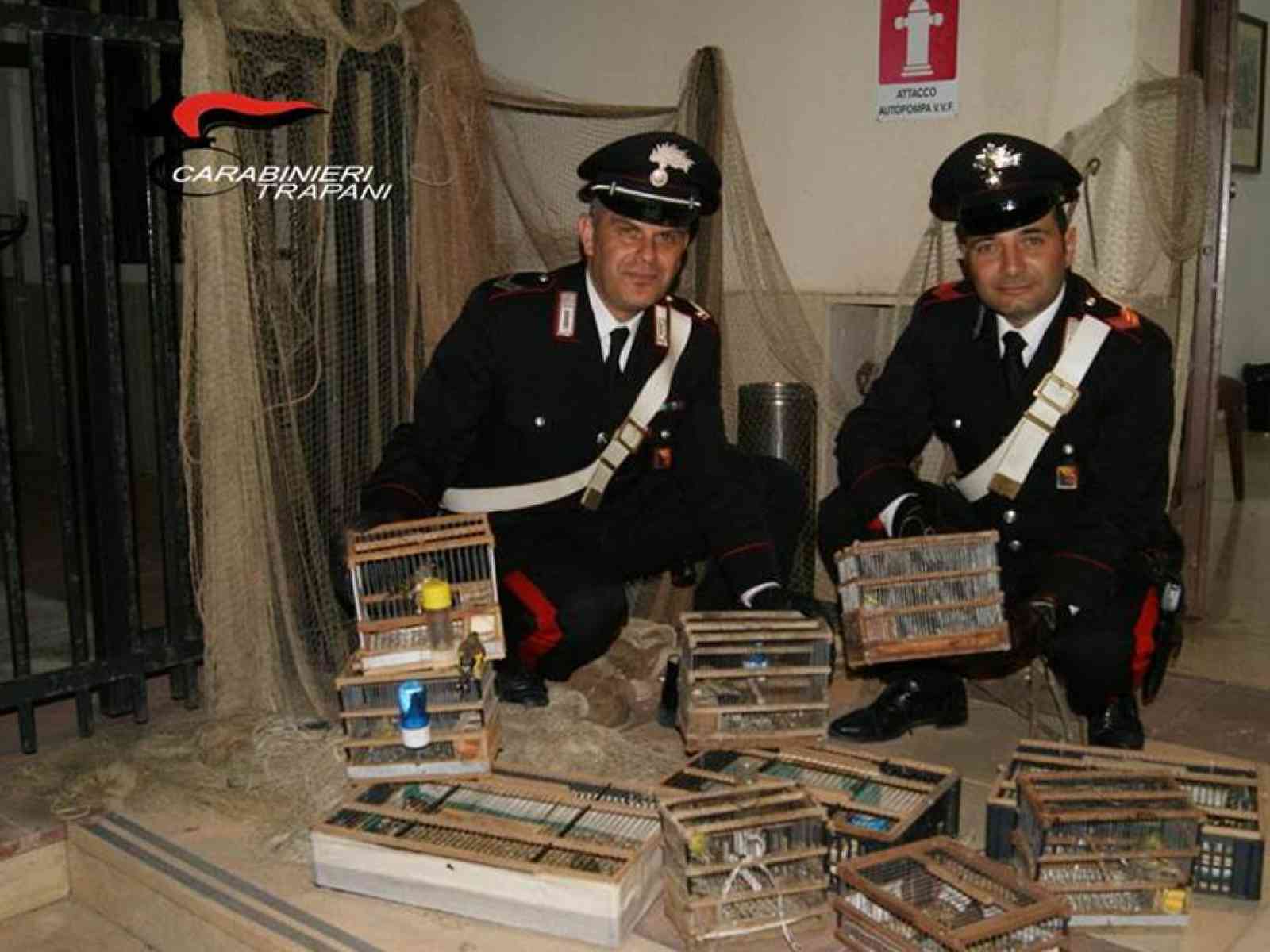 Immagine articolo: Salaparuta, cattura illegale di volatili ed al maltrattamento degli animali. Denunciati due palermitani