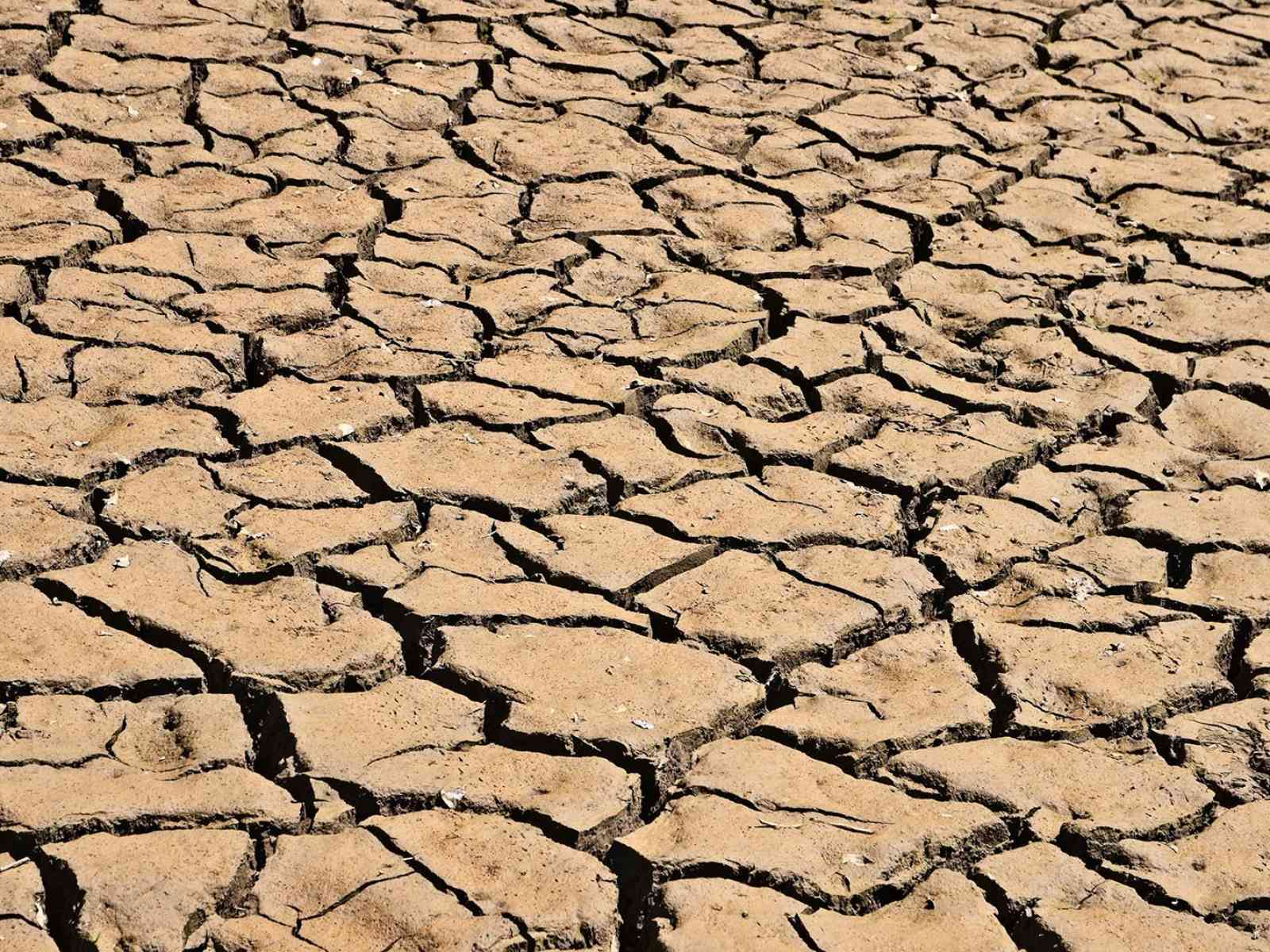 Immagine articolo: 5 milioni contro la crisi idrica in Sicilia. Ci sono anche Menfi, Sciacca, Sambuca e Santa Margherita