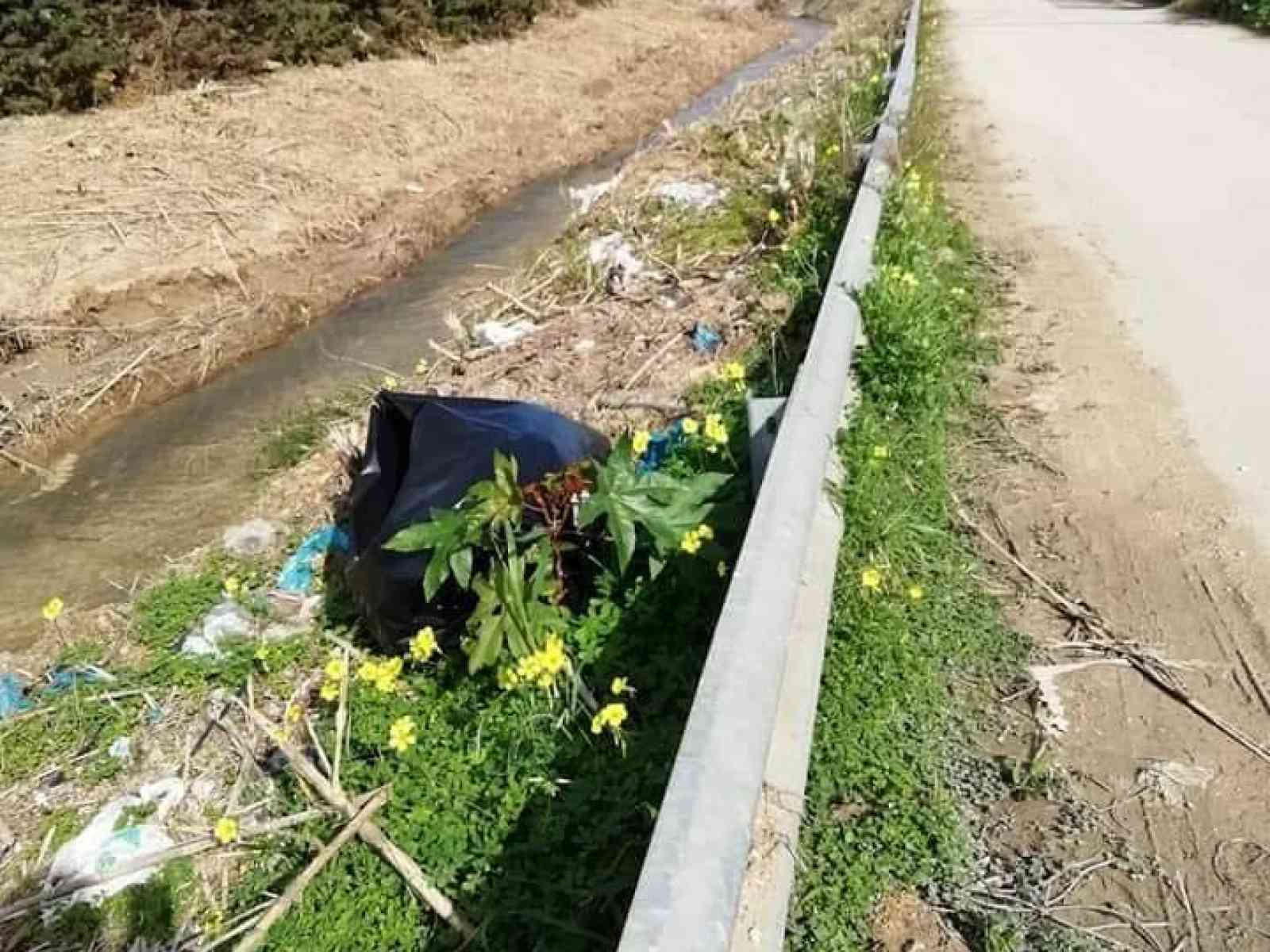 Immagine articolo: Menfi, abbandono di rifiuti indiscriminati lungo le sponde del Vallone Mandrarossa. Il ViceSindaco:“ Appello ai cittadini a segnalare anonimamente“