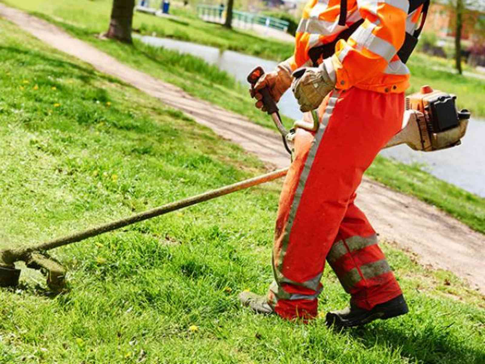 Immagine articolo: Montevago, deliberata la pulizia del verde pubblico nell’area ex baraccopoli. Destinate le somme