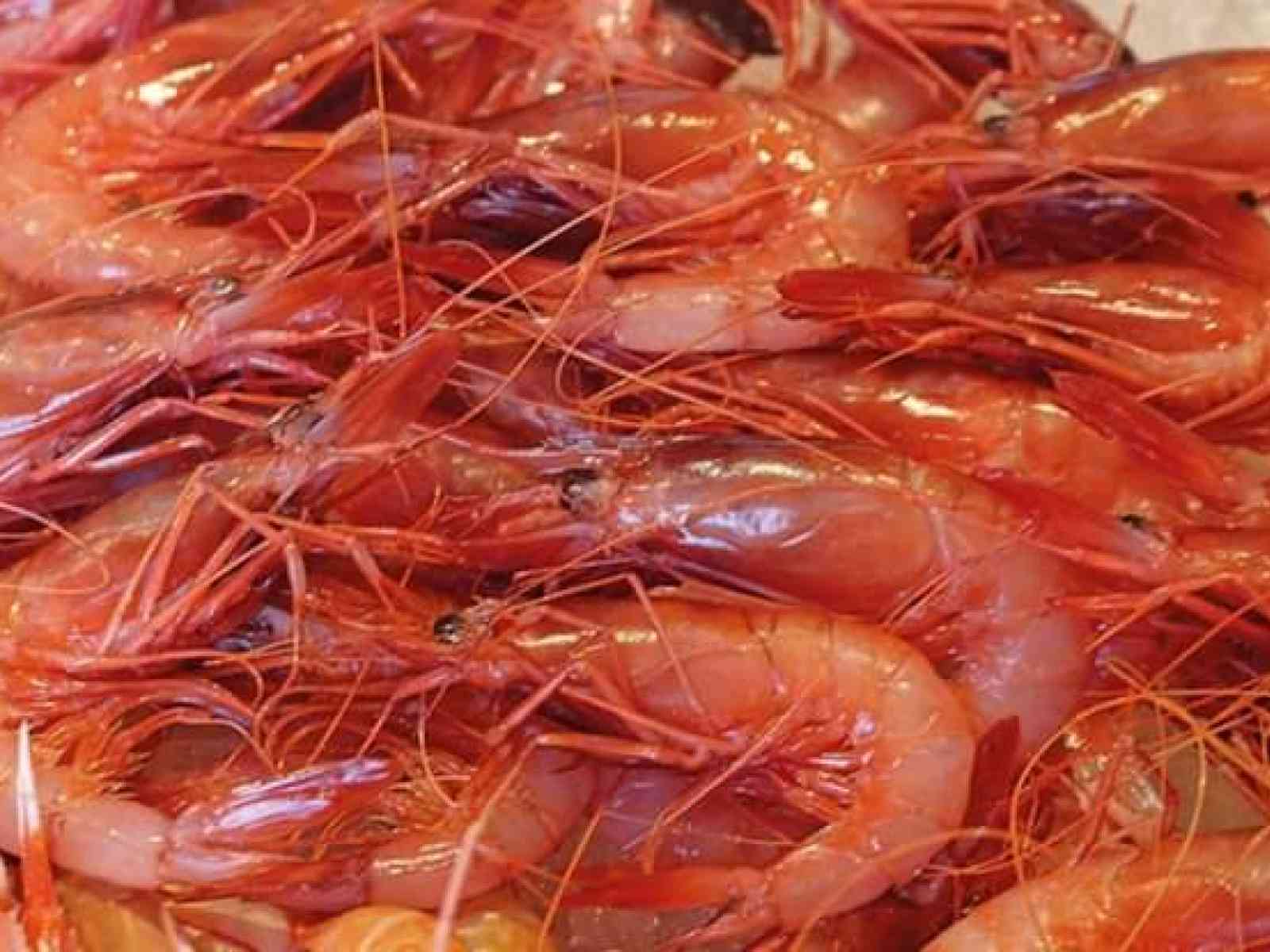 Immagine articolo: Crostacei: proprietà e calorie