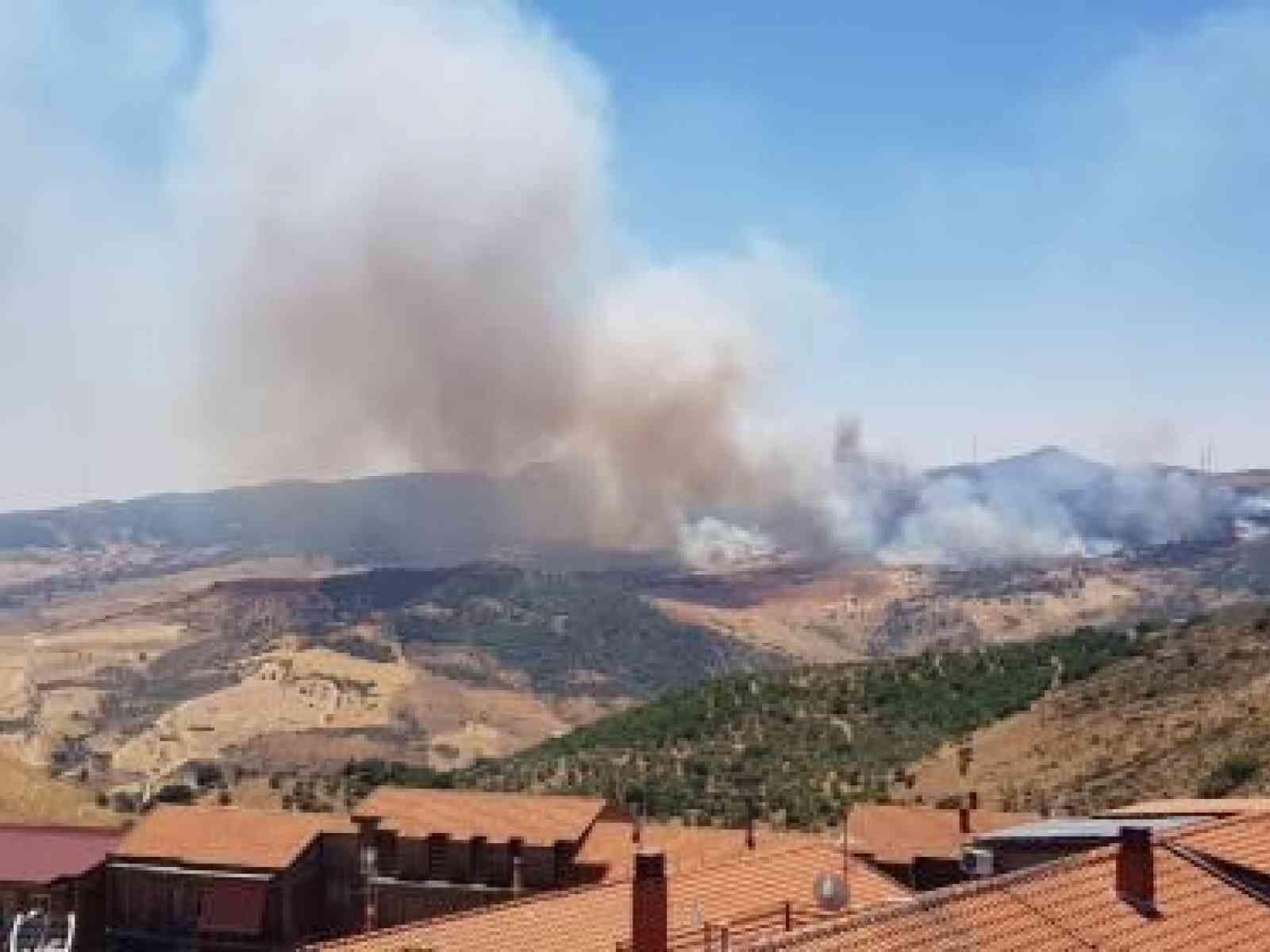 Immagine articolo: Incendi, governo Musumeci dichiara stato di crisi e di emergenza in Sicilia